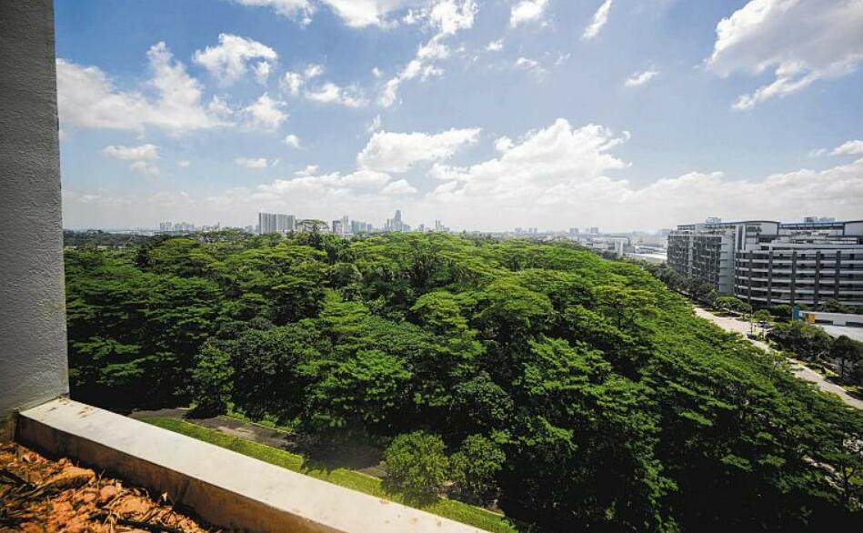 10.4ha of forest in Woodlands to be cleared for industrial and mixed-use developments