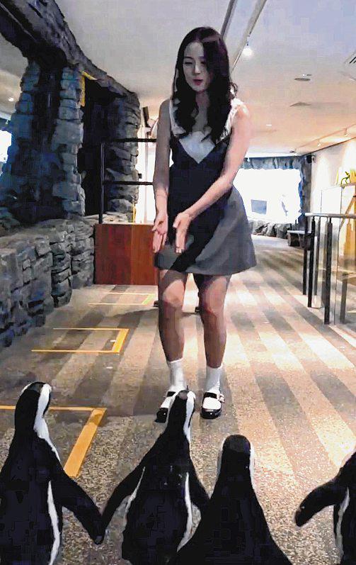 Blackpink's Jisoo Plays with Penguins and Fennec Foxes at Mandai Wildlife Reserve