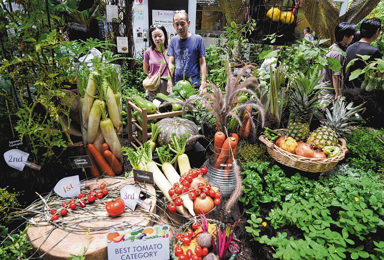 HortFest marks 20 years of community gardening