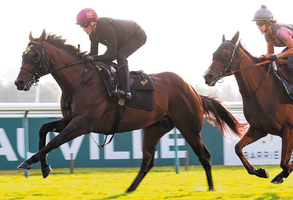 U.S. Aiming for French Home Run