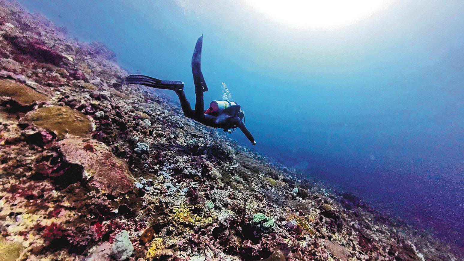Dive into Labuan Bajo's underwater paradise