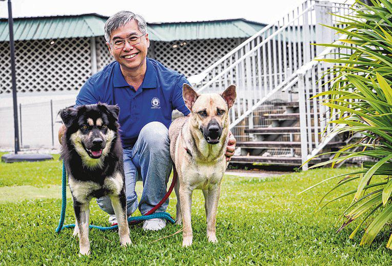 SPCA and Acres Recommend Ways to Strengthen Animal Protection