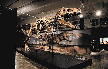 Science Centre Singapore's largest dinosaur exhibition to open in October