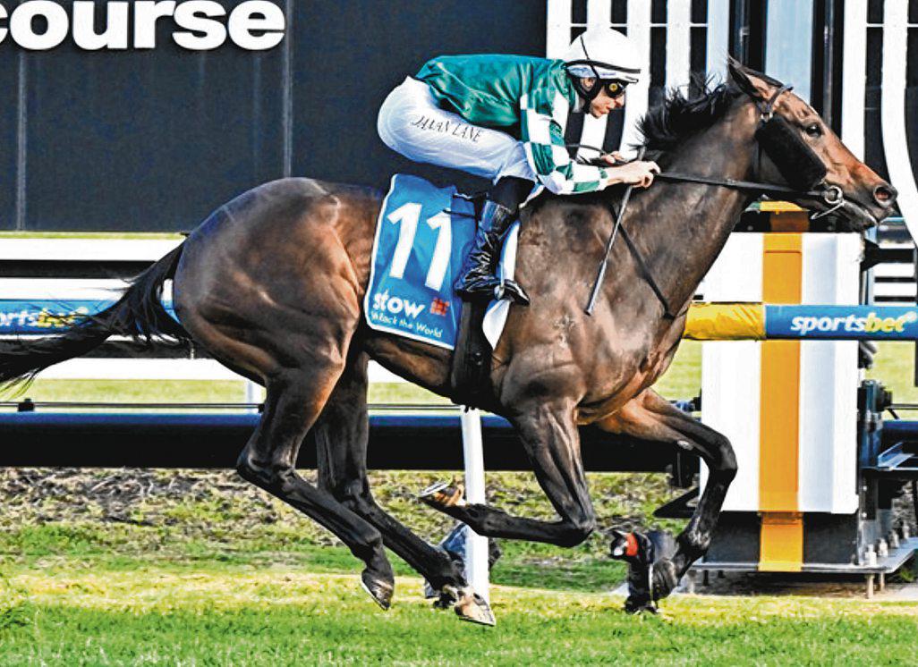 Memsie Stakes Win a Moment to Treasure for Laurie, Yulong