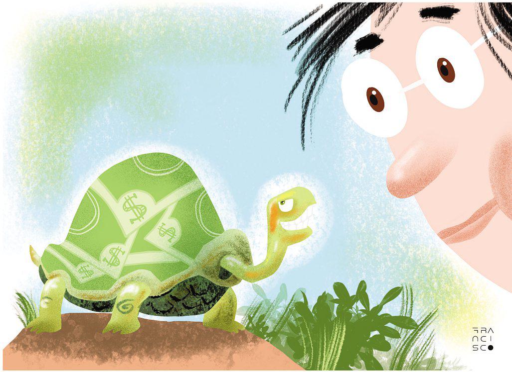 I Paid $200 for My Pet Terrapin's Vet Treatment — Here's What It Taught Me