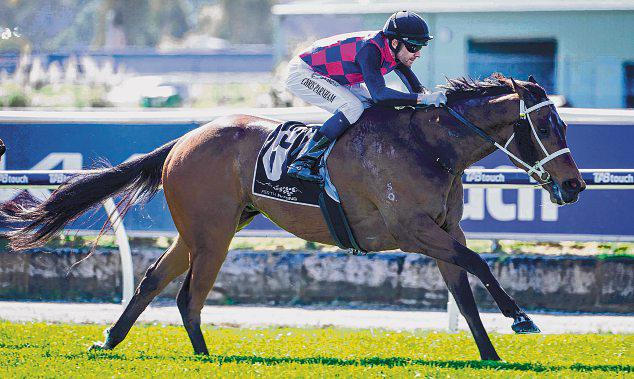 Hanchi goes one better in Jolly Beggar Stakes in Perth