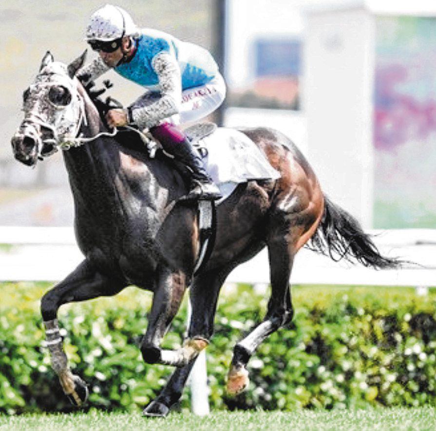 Istanbul Horse Racing Goes International This Weekend