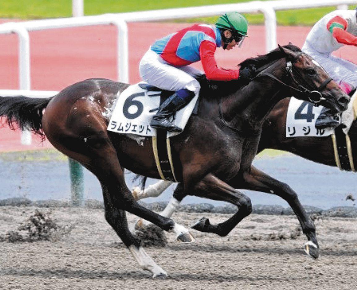 Japan Owner Eyeing Remake of Seoul-Stirring Cup Day Double