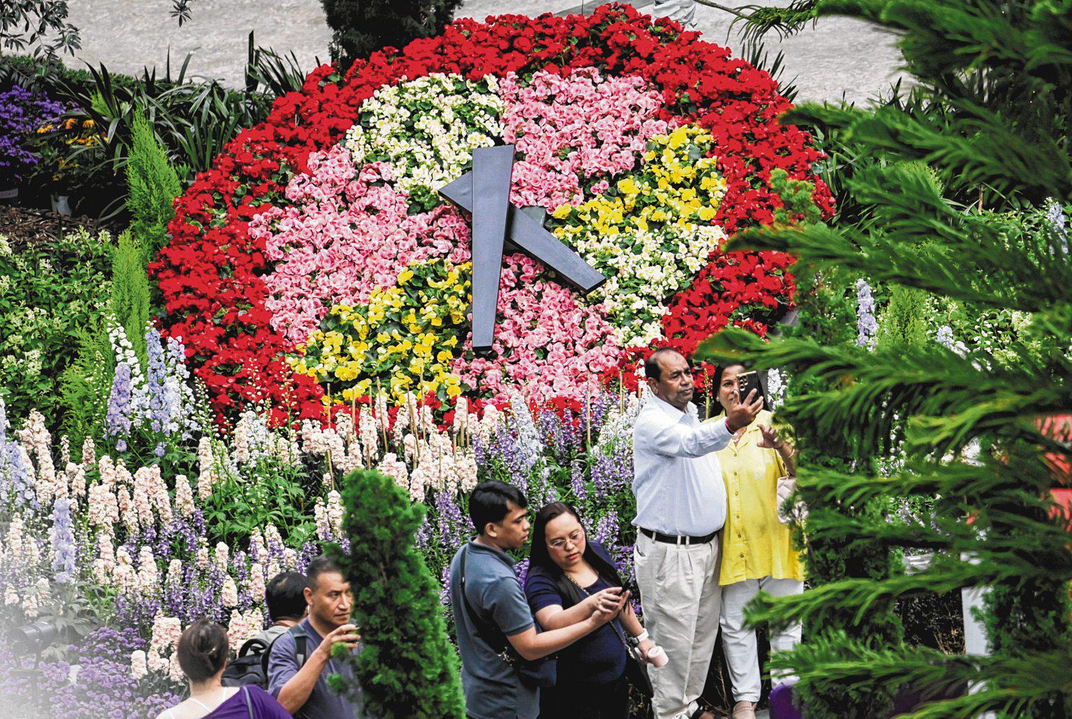 Bringing the Alps to the Flower Dome