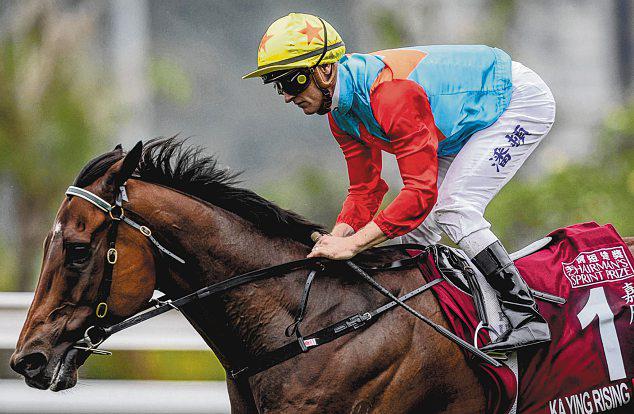 Ka Ying Rising The One To Beat