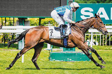 GI Prix Vermeille shapes as likely preview for Arc