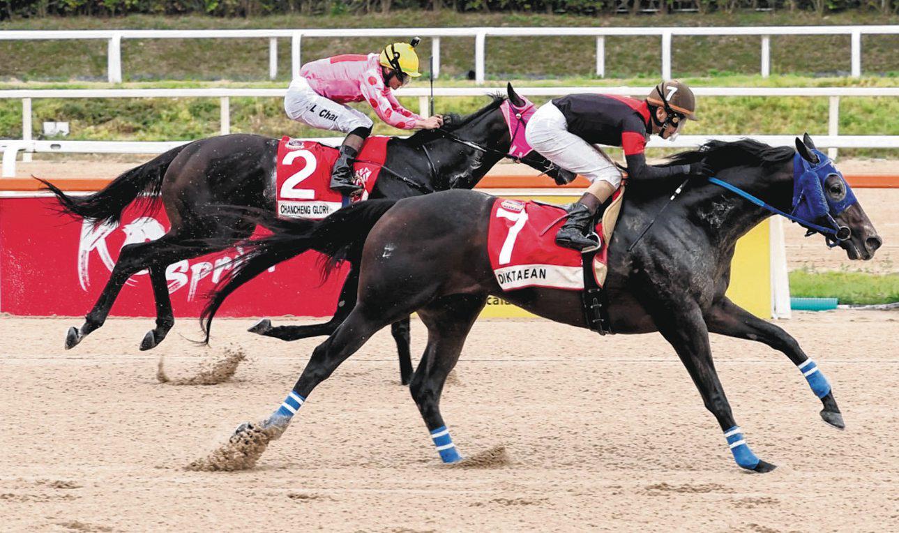 Japan, Hong Kong Raiders Rule the Roost in Seoul