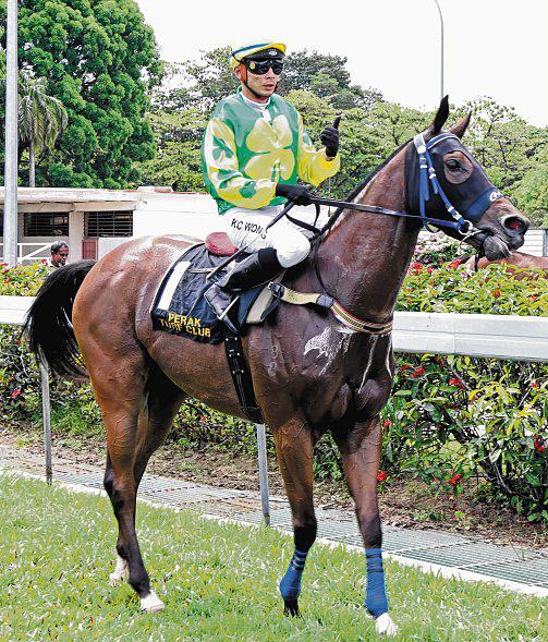 Lim sets sights on NZB Ready To Run Sale Championship for Arigato