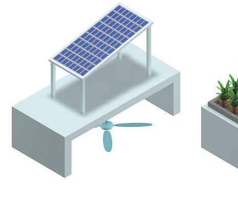 Study finds greenery can grow under solar panels