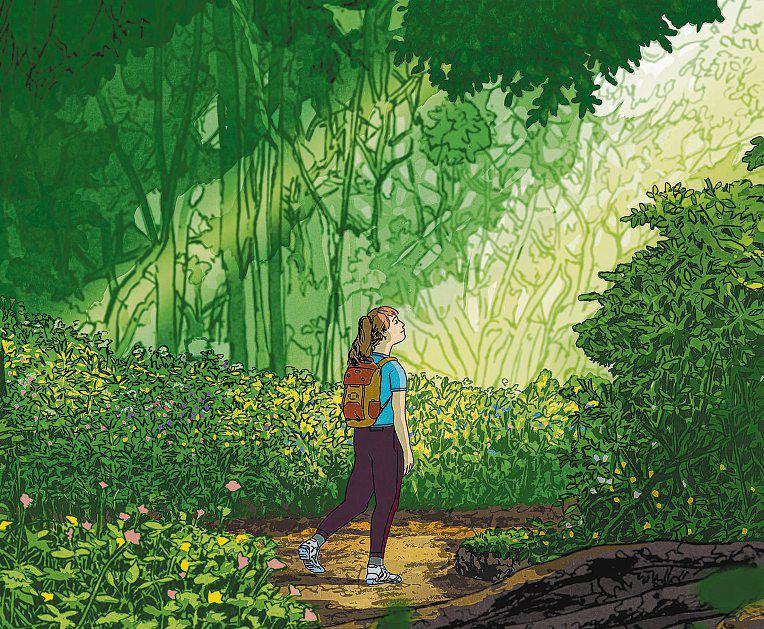 Walking in nature can boost your attention span