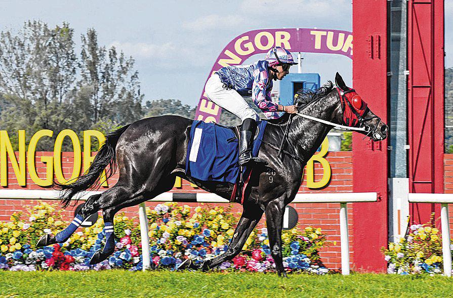 Platinum Gallopers Set To Roll For Choi