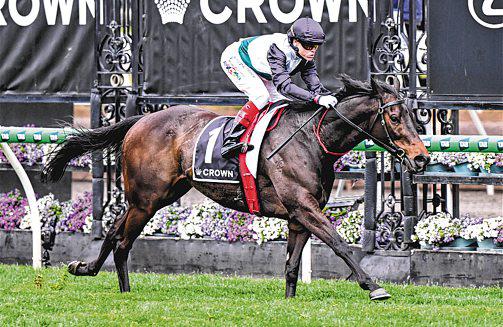 Mr Brightside wins 3rd Makybe Diva