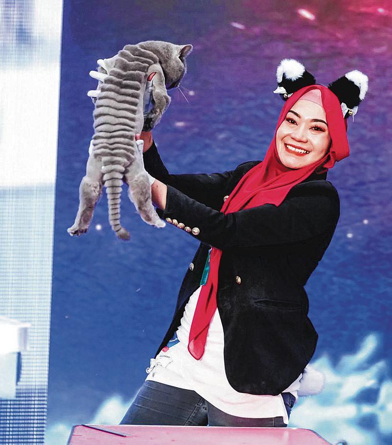 Cat groomer wins third place with dragon cut