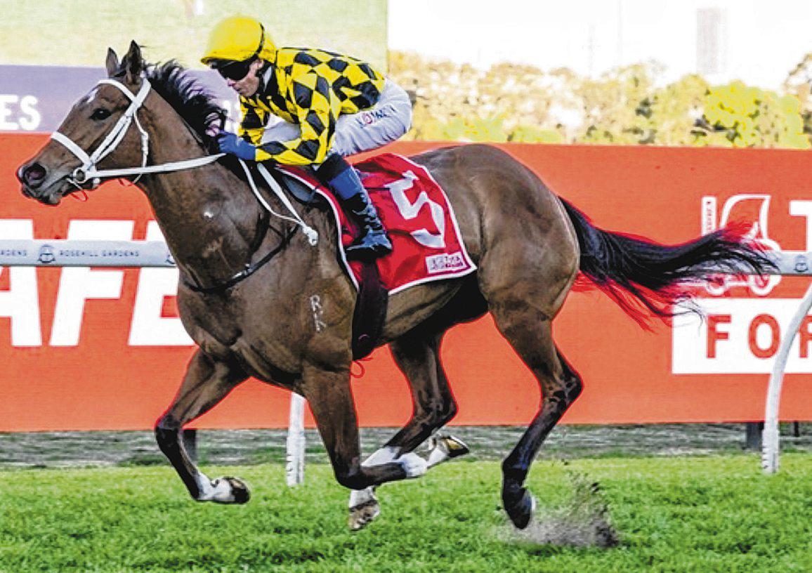 Autumn Glow Extends Winning Streak in Theo Marks Stakes