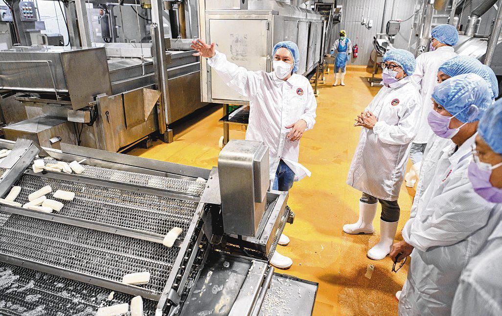 From fishball factory to bus depot, behind-the-scenes tours taking off