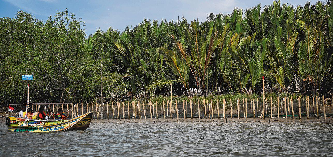 Singapore-led initiative launched to better protect, restore marine habitats for carbon credits