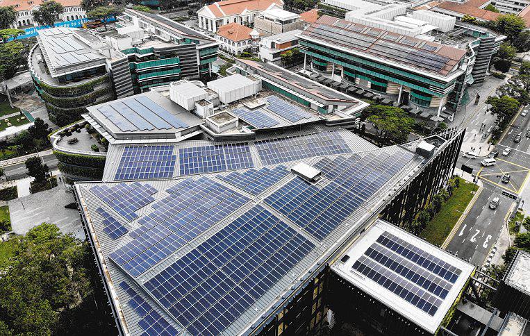 'Regenerative and restorative': Prof Lily Kong on the power of human-environment ties