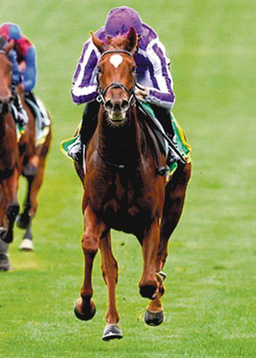 From last to first, Precise a cut above in Gl Fillies' Mile