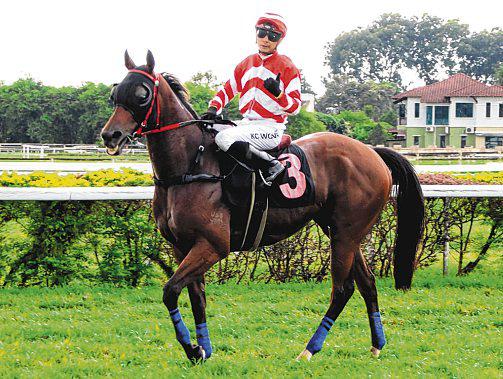 Glorious Biscuit fires in another cracking win in Ipoh