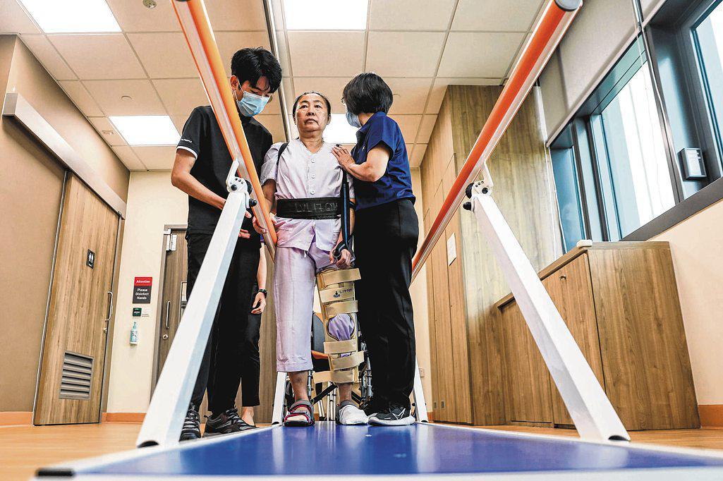 New postgraduate training ecosystem for physiotherapists