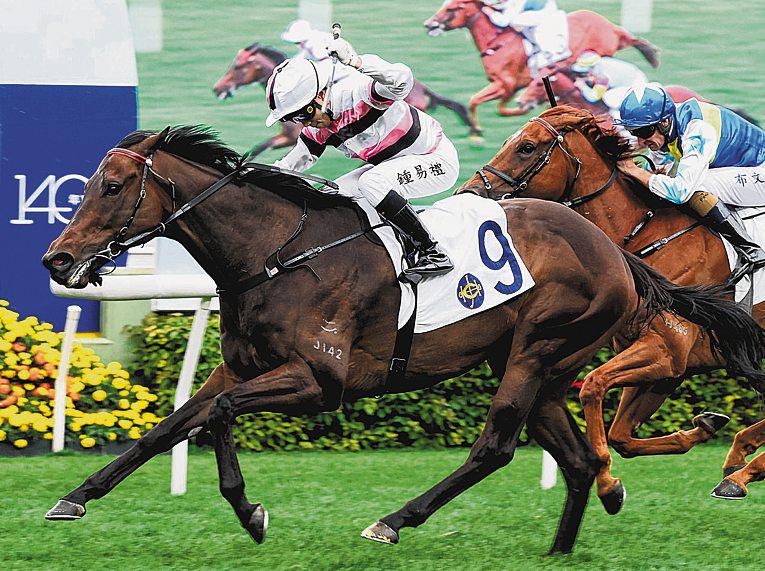 DIVANO LOOKS READY TO IMPRESS