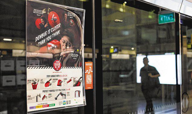 July-Sept dengue cases fall by nearly 36% from previous quarter to 874