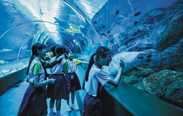 Games at oceanarium as ST's Little Red Dot marks 20th anniversary