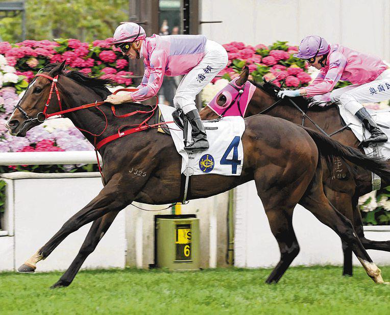 MASTEROFMYUNIVERSE TO RULE