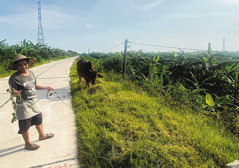 Trump-branded golf resort in Vietnam hits snag over land dispute