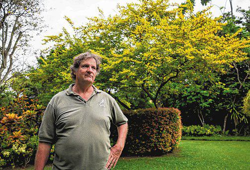 From Vanuatu to Yishun: The plant giving S’pore fall colours all year