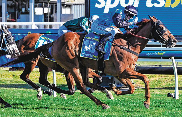 HALF YOURS CAN HAVE IT ALL AT FLEMINGTON