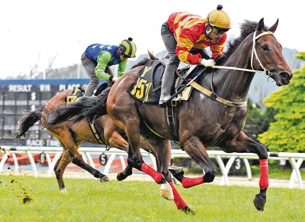 LECK'S NEWCOMER TYCOON BOSS STRUTS HIS STUFF AT SUNGAI BESI