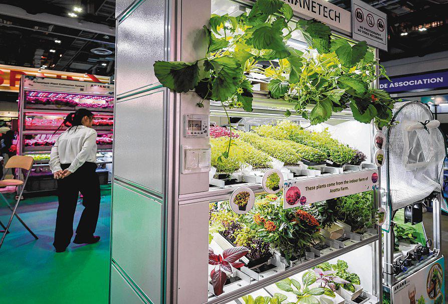 Research push to create high-quality seeds and ease costs plaguing vertical farms