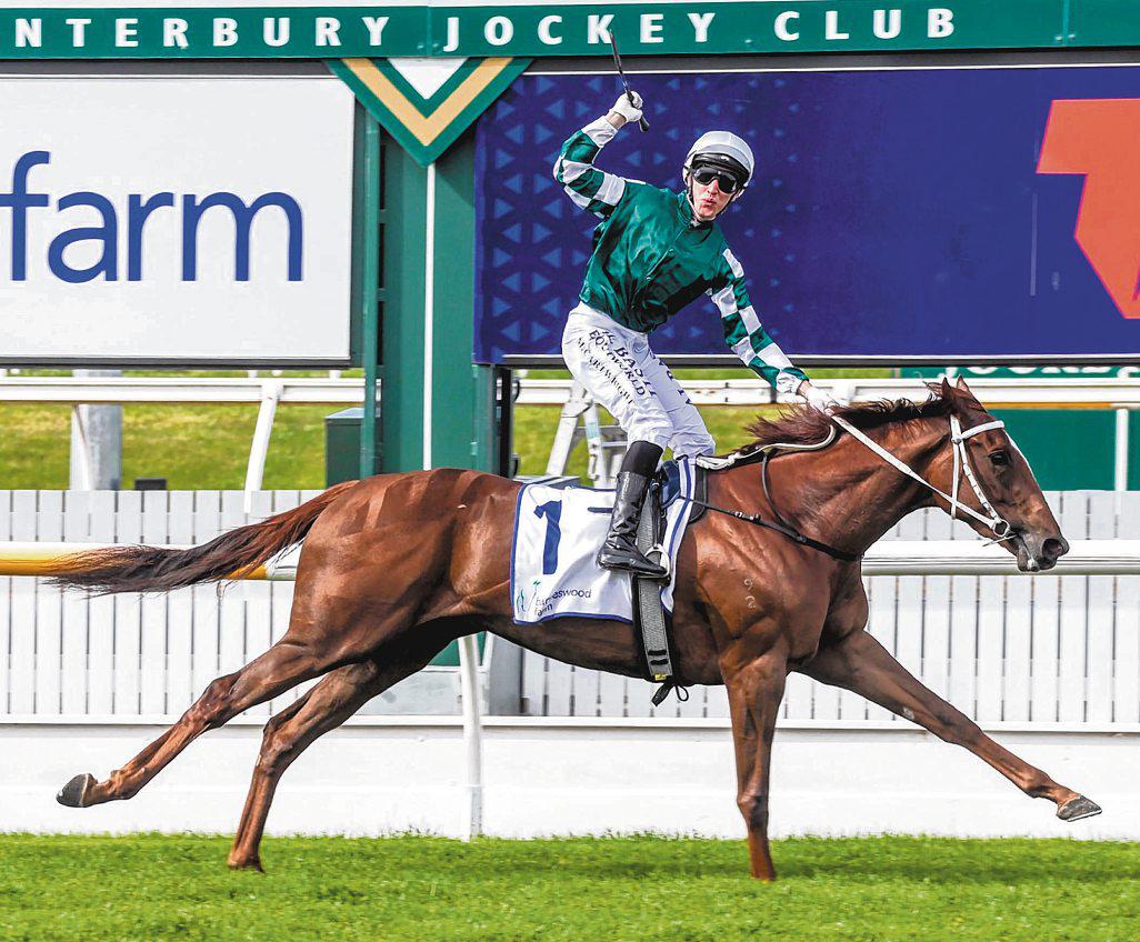 WELL WRITTEN GUINEAS FINALE
