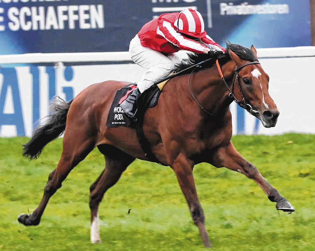 NO CATCHING SCOTT'S BAY CITY ROLLER IN GERMANY G1