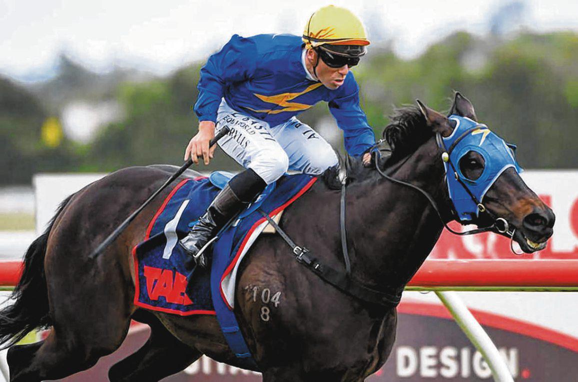 WOLFGANG ALL GEARED UP FOR G3 NEW ZEALAND CUP