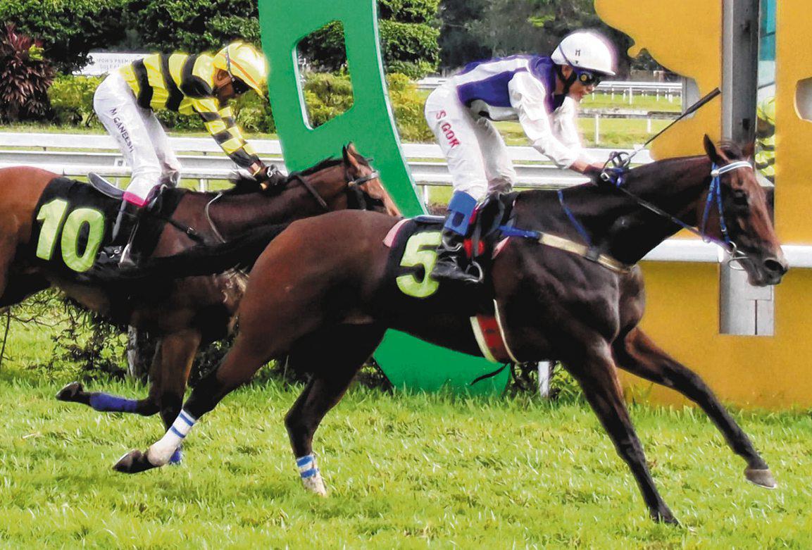 COETZEE AIMING HIGH WITH BIG TEAM ON CORONATION CUP DAY