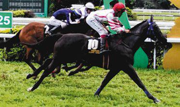 SECRET WONDER SPRINGS UPSET IN POOLS TROPHY