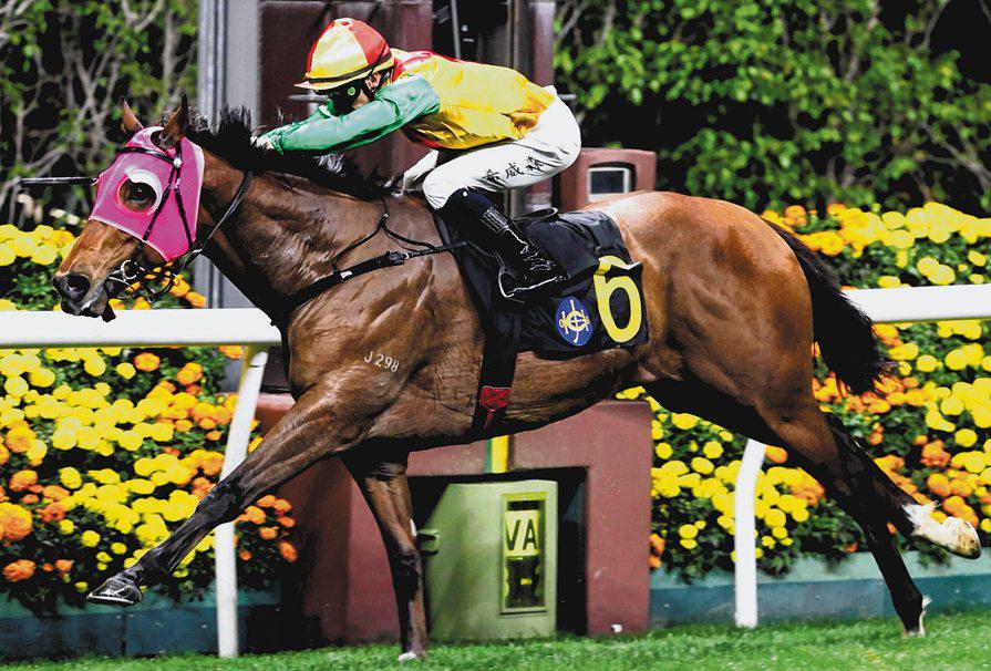 HIGHLAND RAHY CAN WIN FROM BARRIER 2