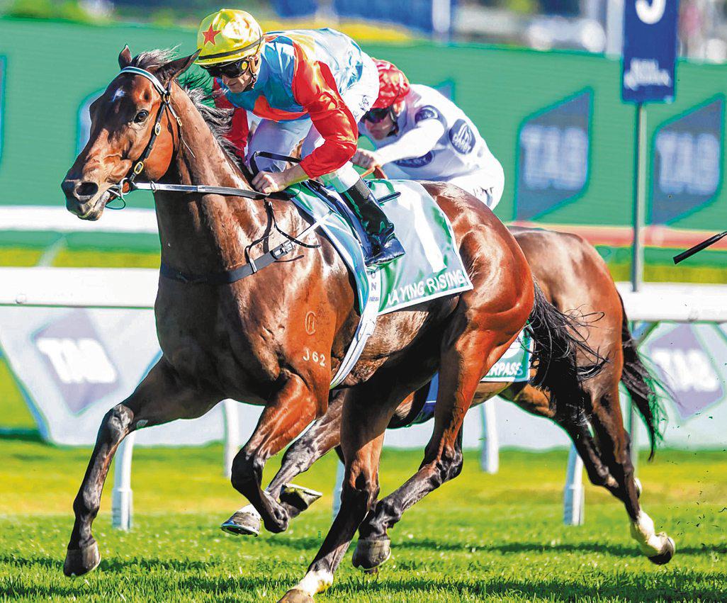 KA YING RISING IN SIZZLING FORM