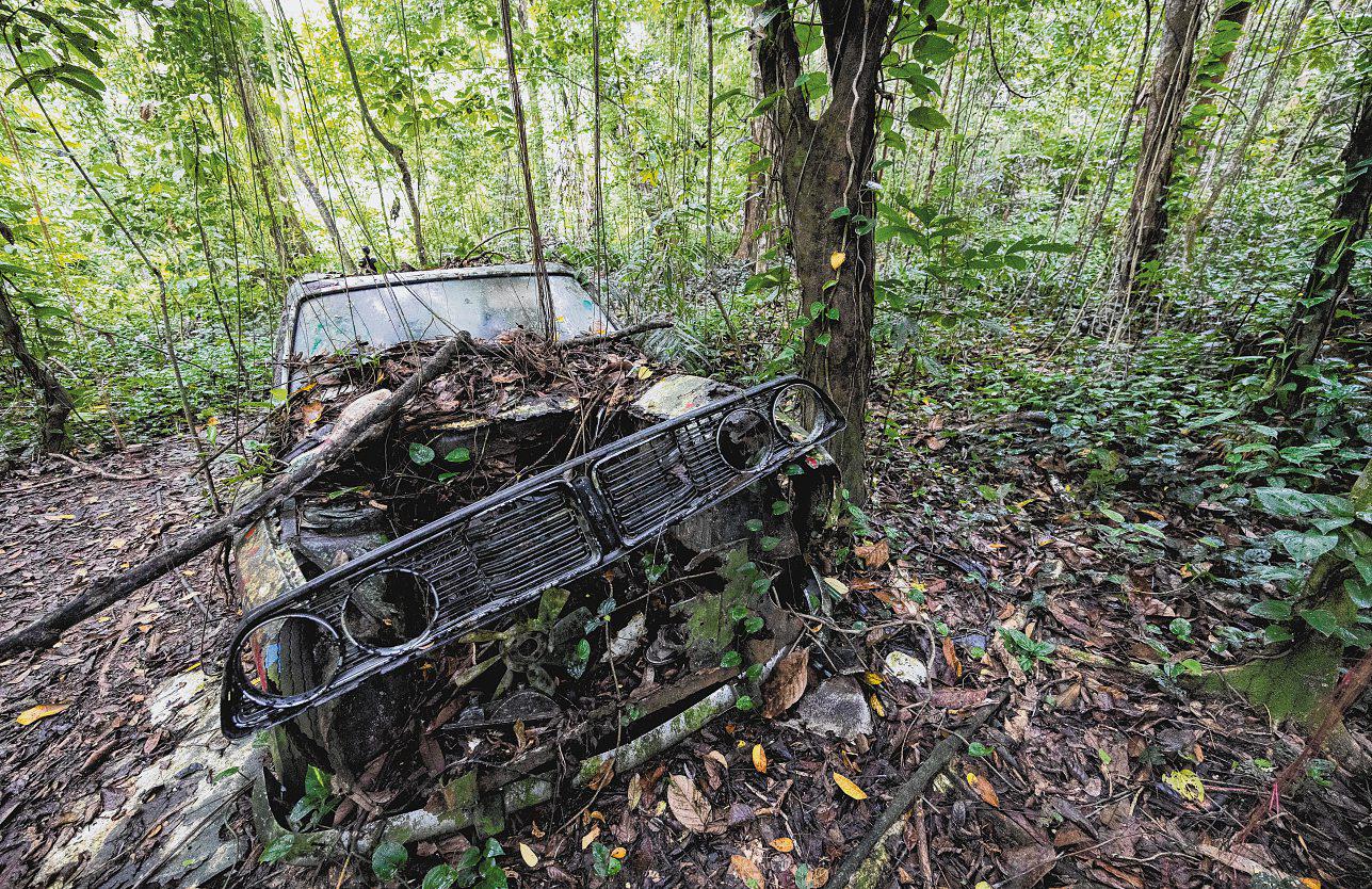 How did these cars end up abandoned in a forest here?