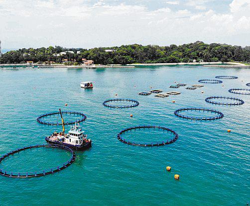 New owners taking over 2 fish farming facilities left vacant by exiting firms