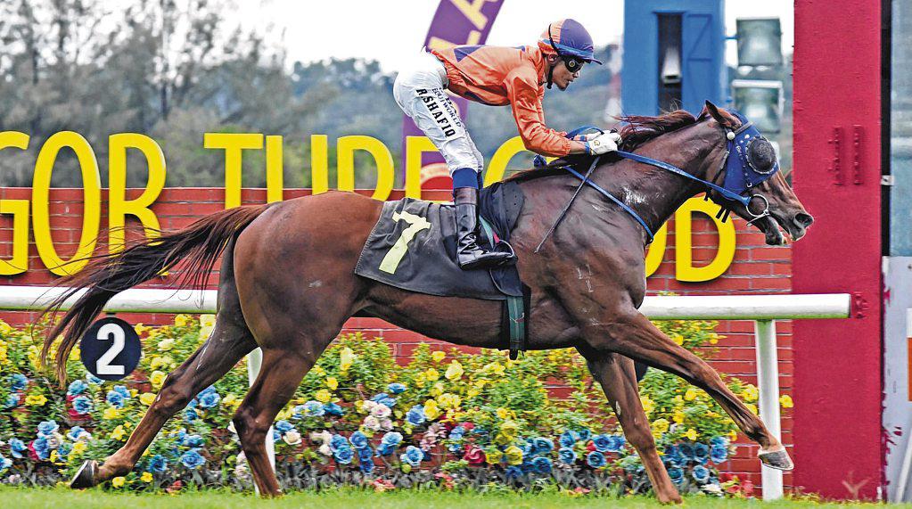 THREE ON THE TROT FOR YES MAN