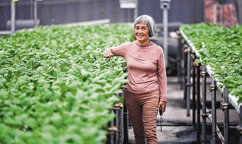 S'pore farms press on with smarter strategies, collective cost-cutting