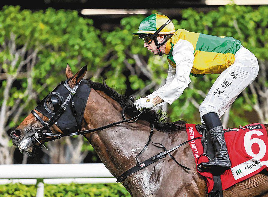 STORMING DRAGON THE ONE TO WATCH